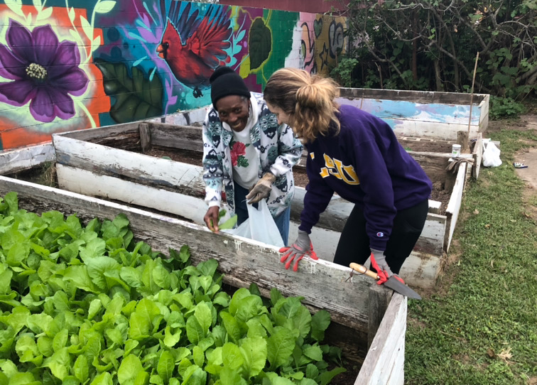 lsu student and community member volunteer at garden.