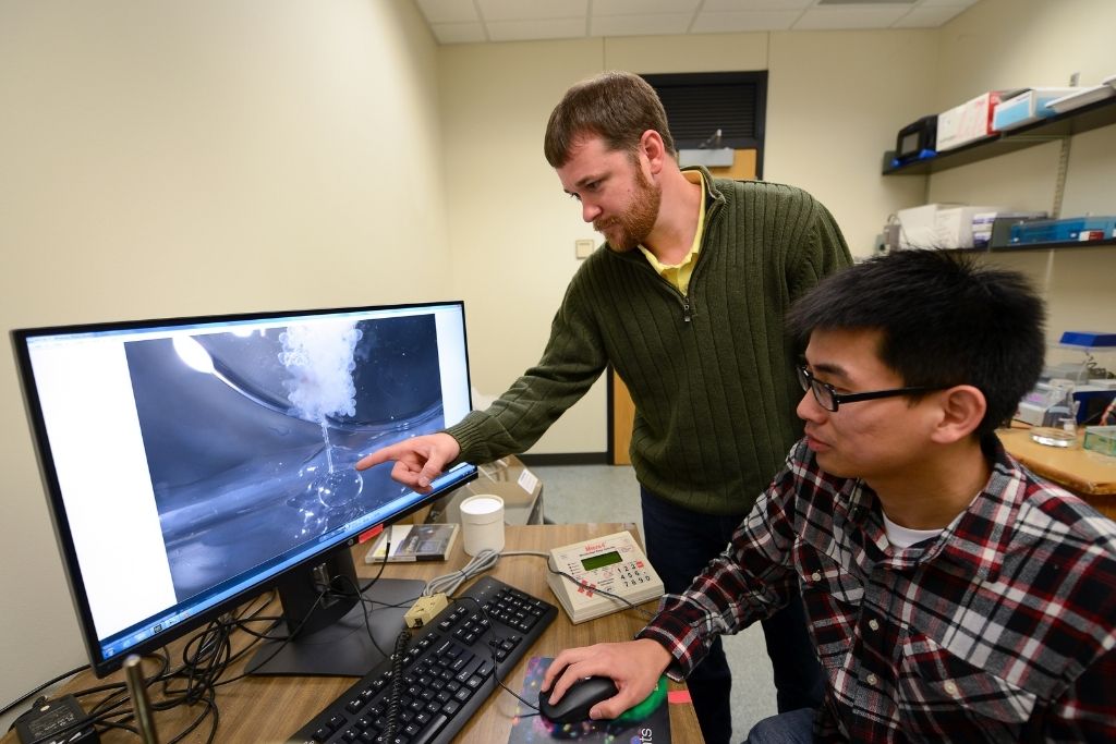 men looking at computer screen