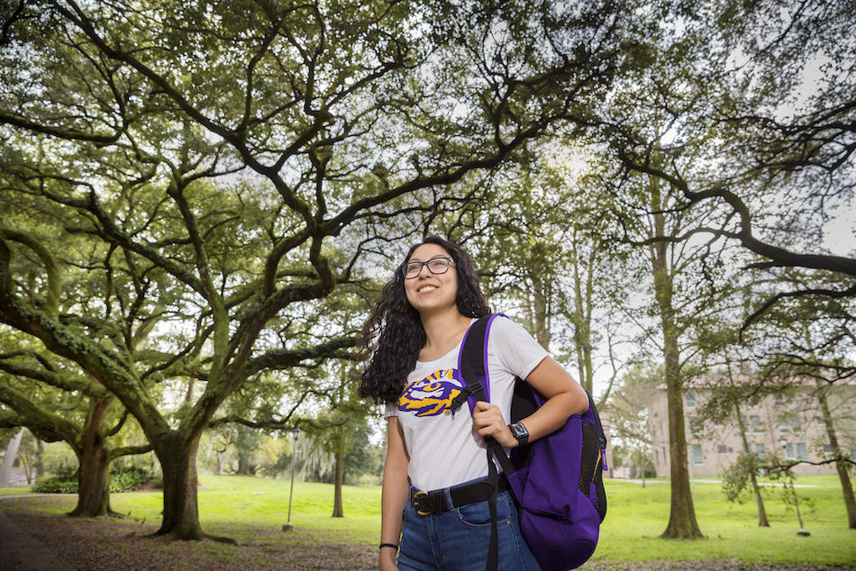 student in enchanted forest