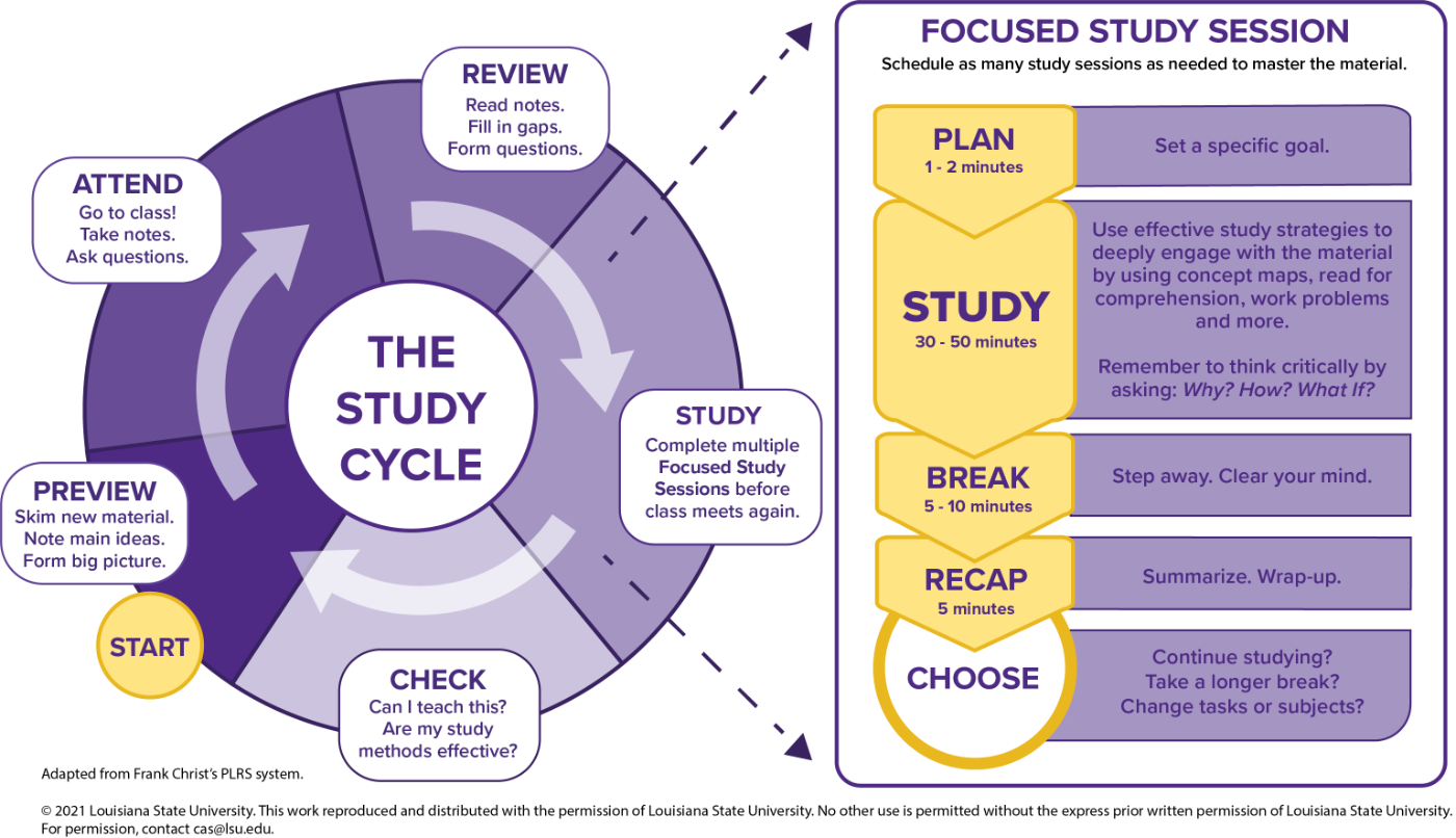 Graphic of the Study Cycle with focused study sessions - link to accessible documentation of this process to the right and below