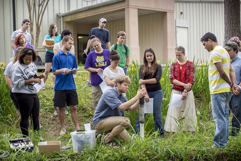 A group of people stand in wetlands, watching someone take a sample