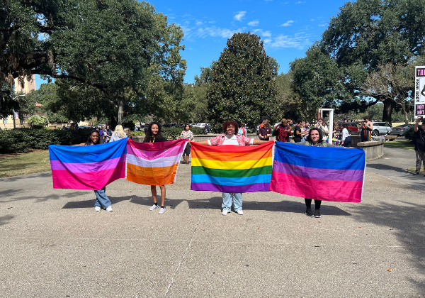 Pride Month Flags