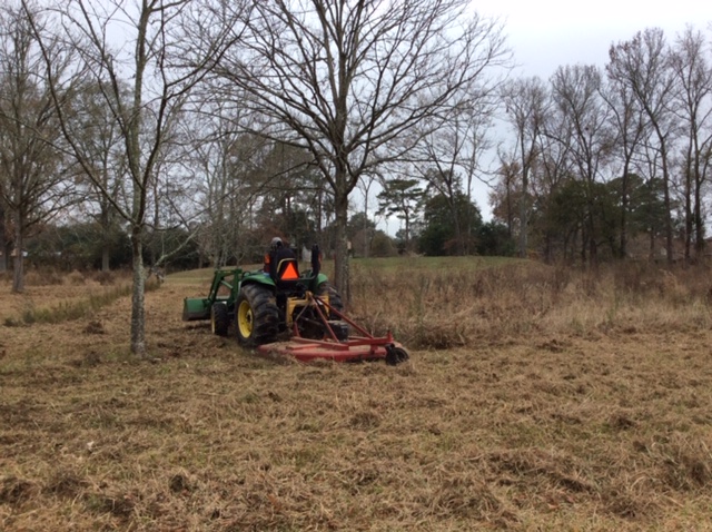 bush-hogging meadow