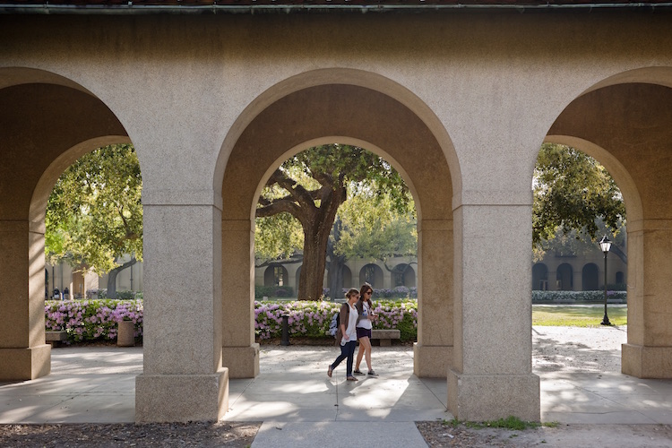 collonades in the quad