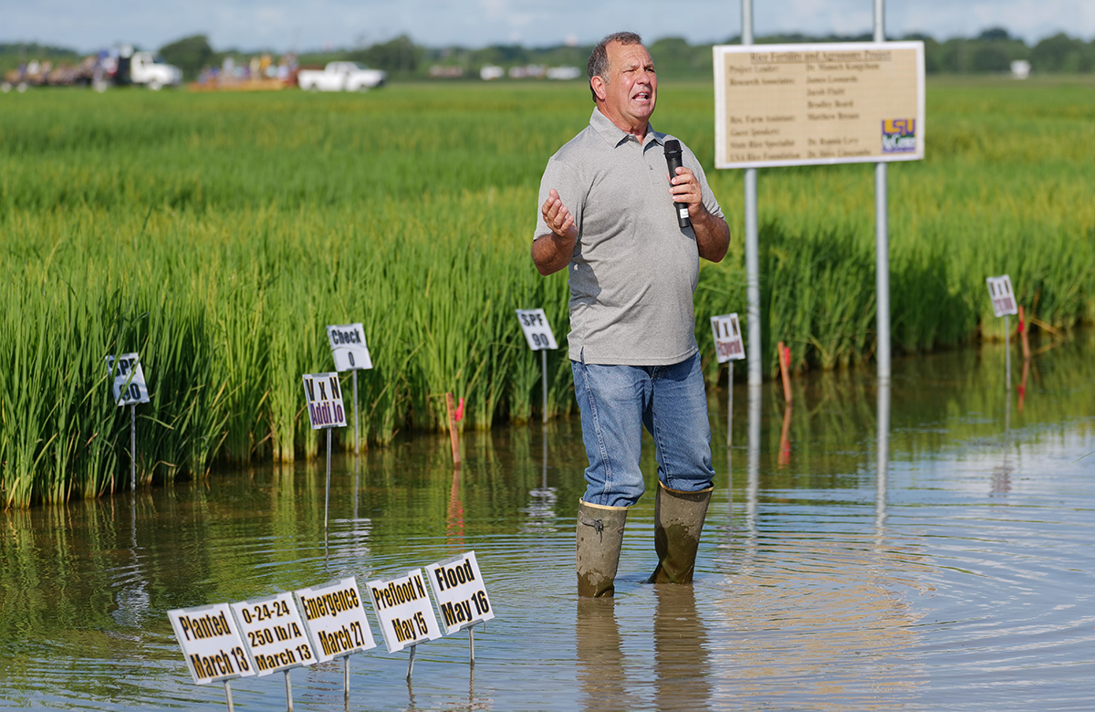 An LSU AgCenter rice specialist speaks during the annual H. Rouse Caffey Rice Research Station field day.