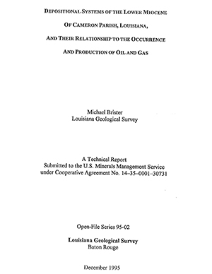 Cameron Parish, La Lower Miocene Depositional Systems, 1995