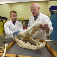 Student examines fossil.