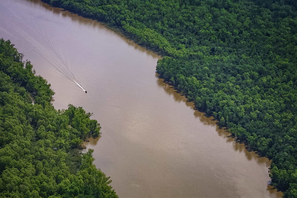 Atchafalaya River Basin