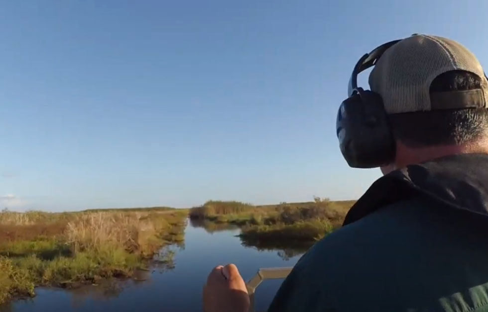 Boater riding thought Louisiana swamp