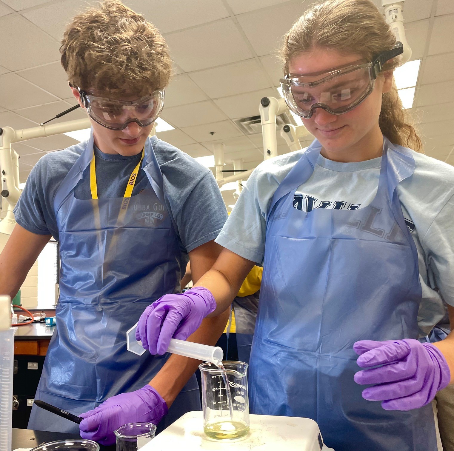 undergraduates in the lab