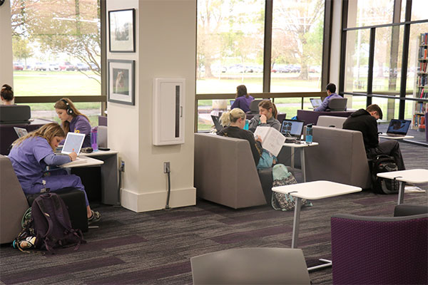 students studying in the library